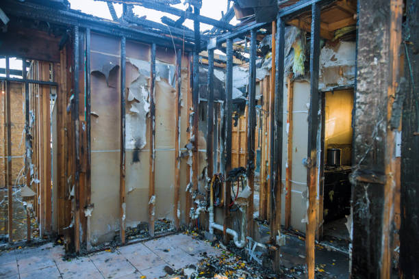 Professional Odor Removal technician working in Gainesville, GA
